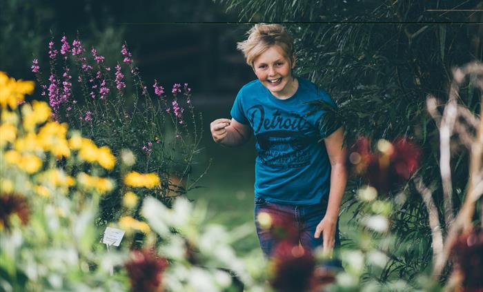 The picture shows a boy running through a garden. there are purple verbena and yellow marigold flowers in view. Traditionally, plant extracts were use